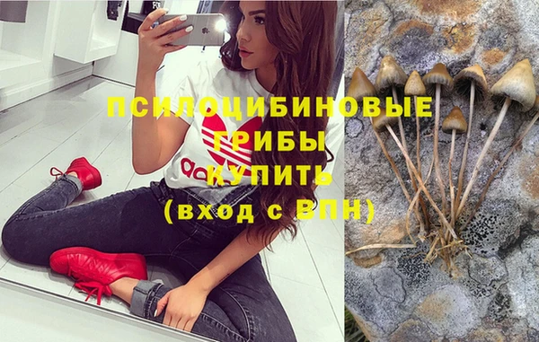 бутират Алексеевка
