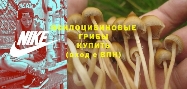 а пвп мука Алзамай